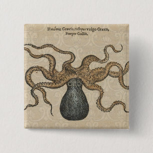 Tintenfisch Kraken Antik Küsten Meeresfauna Button