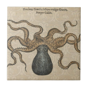 Tintenfisch Kraken Antik Küsten Meeresfauna Fliese