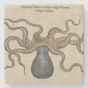Tintenfisch Kraken Antik Küsten Meeresfauna Steinuntersetzer