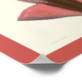 Tintenfisch Lila Cephalopod Sea Kreaturen Art Druc Poster (Ecke)