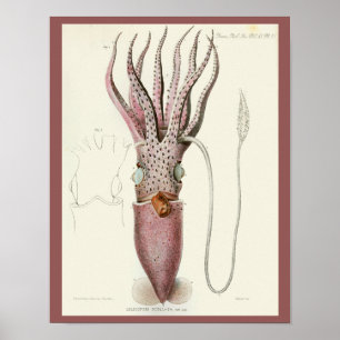 Tintenfisch Lila Kopffüßer Meerestiere Kunst Druck Poster