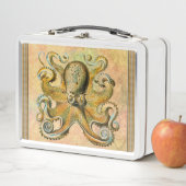 Tintenfisch Lunchbox (Beispiel)