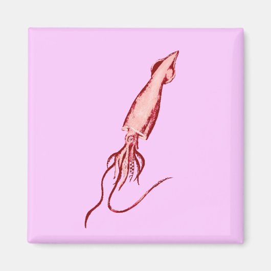 Tintenfisch Magnet (Vorne)