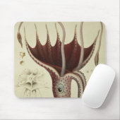 Tintenfisch, Pl.2 von 'Histoire Naturelle Mousepad (Mit Mouse)