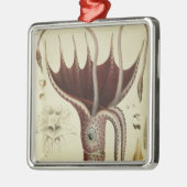 Tintenfisch, Pl.2 von 'Histoire Naturelle Ornament Aus Metall (Links)