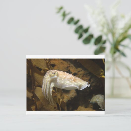 Tintenfisch Postkarte (Stehend Vorderseite)