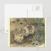 Tintenfisch Postkarte (Vorne/Hinten)