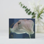 Tintenfisch Postkarte (Stehend Vorderseite)