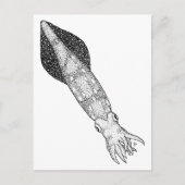 Tintenfisch Postkarte (Vorderseite)