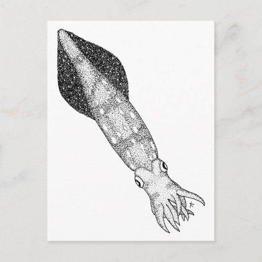 Tintenfisch Postkarte (Vorderseite)