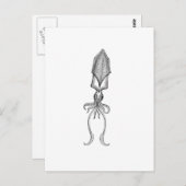 Tintenfisch Postkarte (Vorne/Hinten)