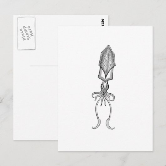 Tintenfisch Postkarte (Vorne/Hinten)