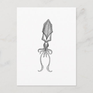 Tintenfisch Postkarte
