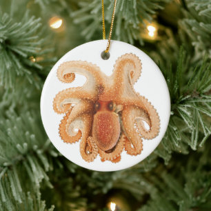 Tintenfisch Salutii, Vintage Meeresaquarien Tiere Keramik Ornament