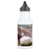 Tintenfisch Sashimi Japanisches Essen zum Mittages Trinkflasche (Links)