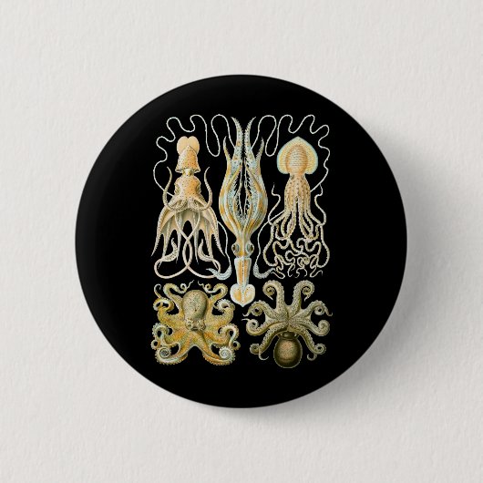 Tintenfisch u. Krake Button (Vorderseite)