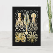 Tintenfisch u. Krake Karte (Vorderseite)