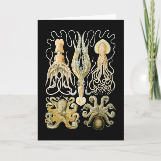 Tintenfisch u. Krake Karte (Vorderseite)
