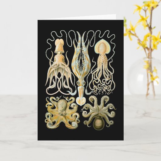 Tintenfisch u. Krake Karte (Gelbe Blume)