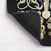 Tintenfisch u. Krake Mousepad (Ecke)