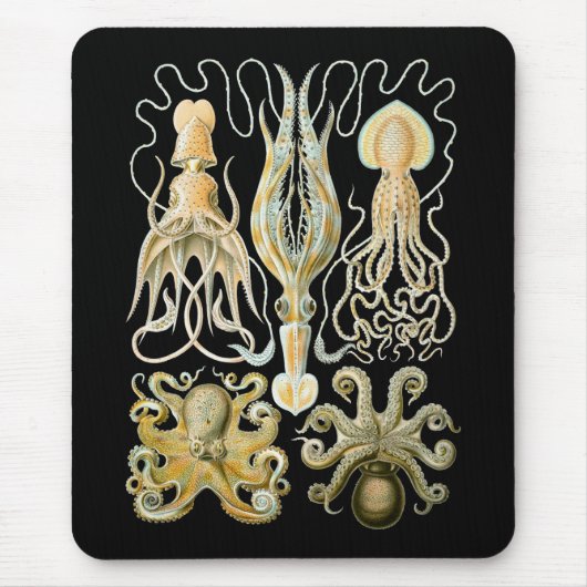 Tintenfisch u. Krake Mousepad (Vorne)