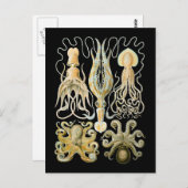 Tintenfisch u. Krake Postkarte (Vorne/Hinten)