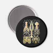 Tintenfisch und Kraken Magnet (Vorderseite/Rückseite)