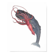 Tintenfisch und Whale Aquarell Kunst drucken