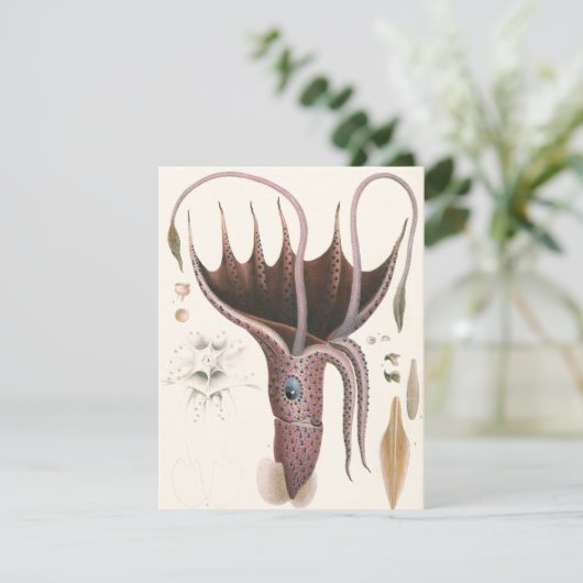 Tintenfisch, Vintage Meerestiere Einladung (Stehend Vorderseite)