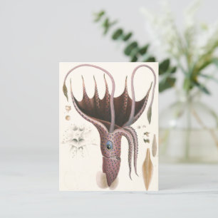 Tintenfisch, Vintage Meerestiere Einladung