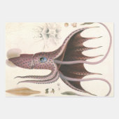 Tintenfisch, Vintage Meerestiere Geschenkpapier Set (Vorderseite)
