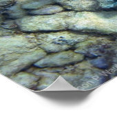 Tintenfisch Wannabe Poster (Ecke)