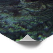 Tintenfische am Riff Poster (Ecke)