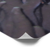 Tintenfische Tentacles Poster (Ecke)