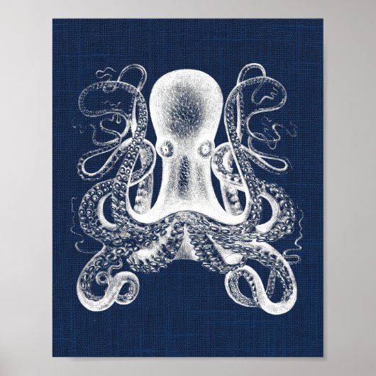 Tintenfischnautikdruck Poster (Vorne)