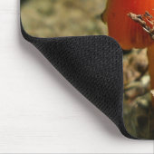 Tiny Amberina Cone Cap Mushroom Mousepad (Ecke)