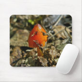Tiny Amberina Cone Cap Mushroom Mousepad (Mit Mouse)