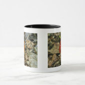 Tiny Amberina Cone Cap Mushroom Tasse (Zentrum)