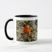 Tiny Amberina Cone Cap Mushroom Tasse (Links)