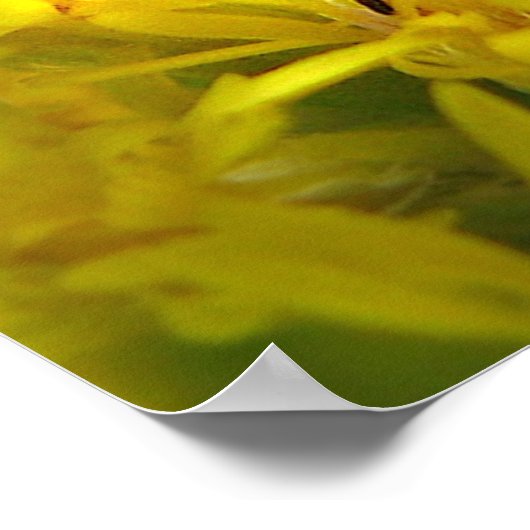 Tiny Ant auf Goldenrod Poster (Ecke)