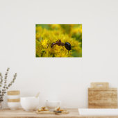 Tiny Ant auf Goldenrod Poster (Küche)