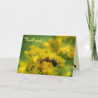 Tiny Ant auf Goldenrod Vielen Dank