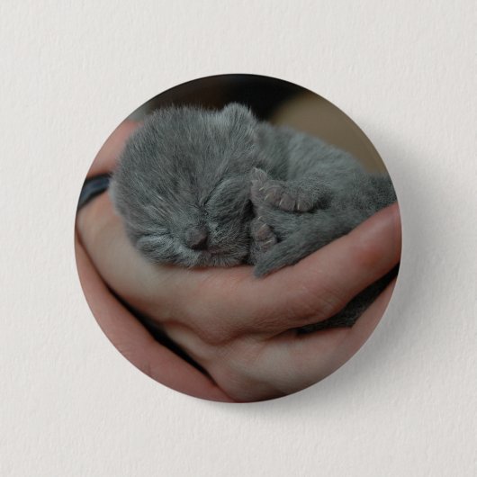 Tiny Baby Blue Kitten Button (Vorderseite)