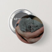 Tiny Baby Blue Kitten Button (Vorne & Hinten)