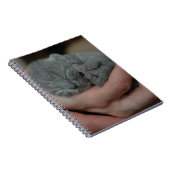 Tiny Baby Blue Kitten Notizblock (Rechte Seite)