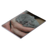 Tiny Baby Blue Kitten Notizblock (Linke Seite)