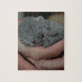 Tiny Baby Blue Kitten Puzzle (Vertikal)