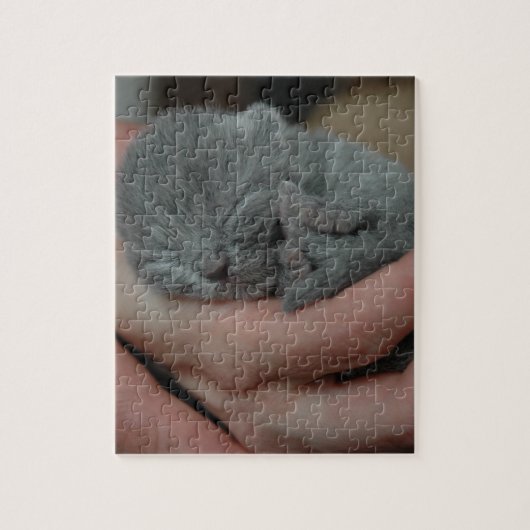 Tiny Baby Blue Kitten Puzzle (Vertikal)