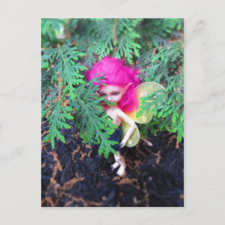 Tiny Bear Bracken, Asiatische Ball-Jointed Doll Postkarte