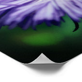 Tiny Bee auf Lila Aster-Blume Poster (Ecke)